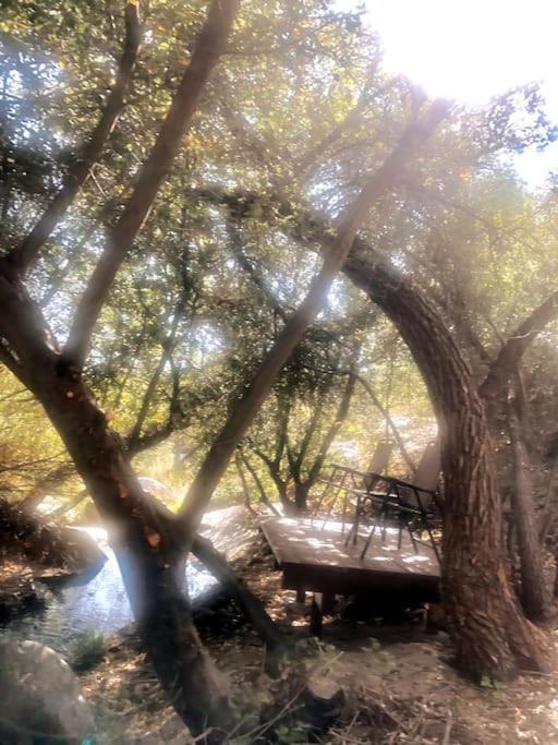 Tillie Creek Retreat: A Creekside Oasis Holiday home *